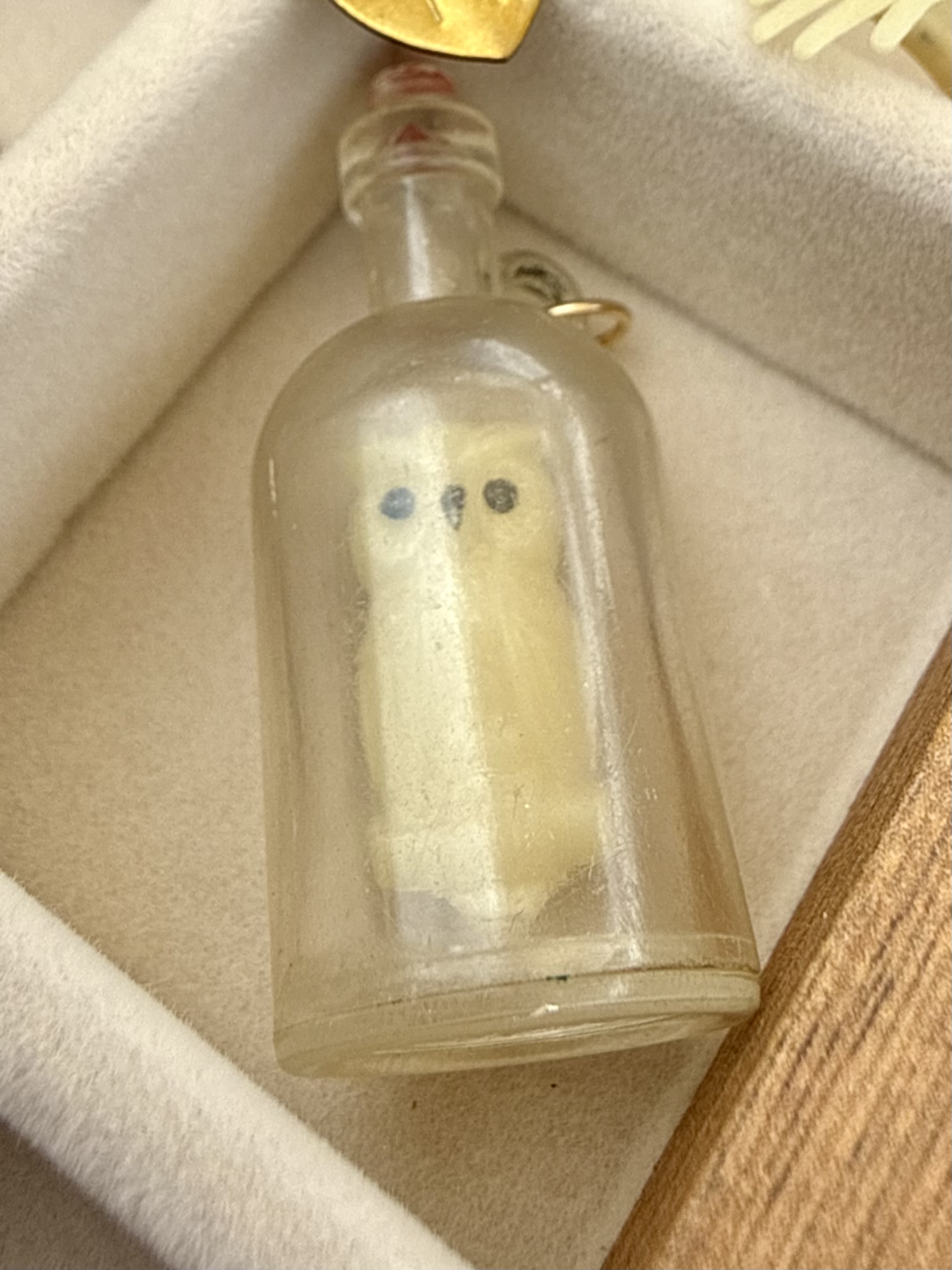 No. 032: Owl in a Bottle — product photo